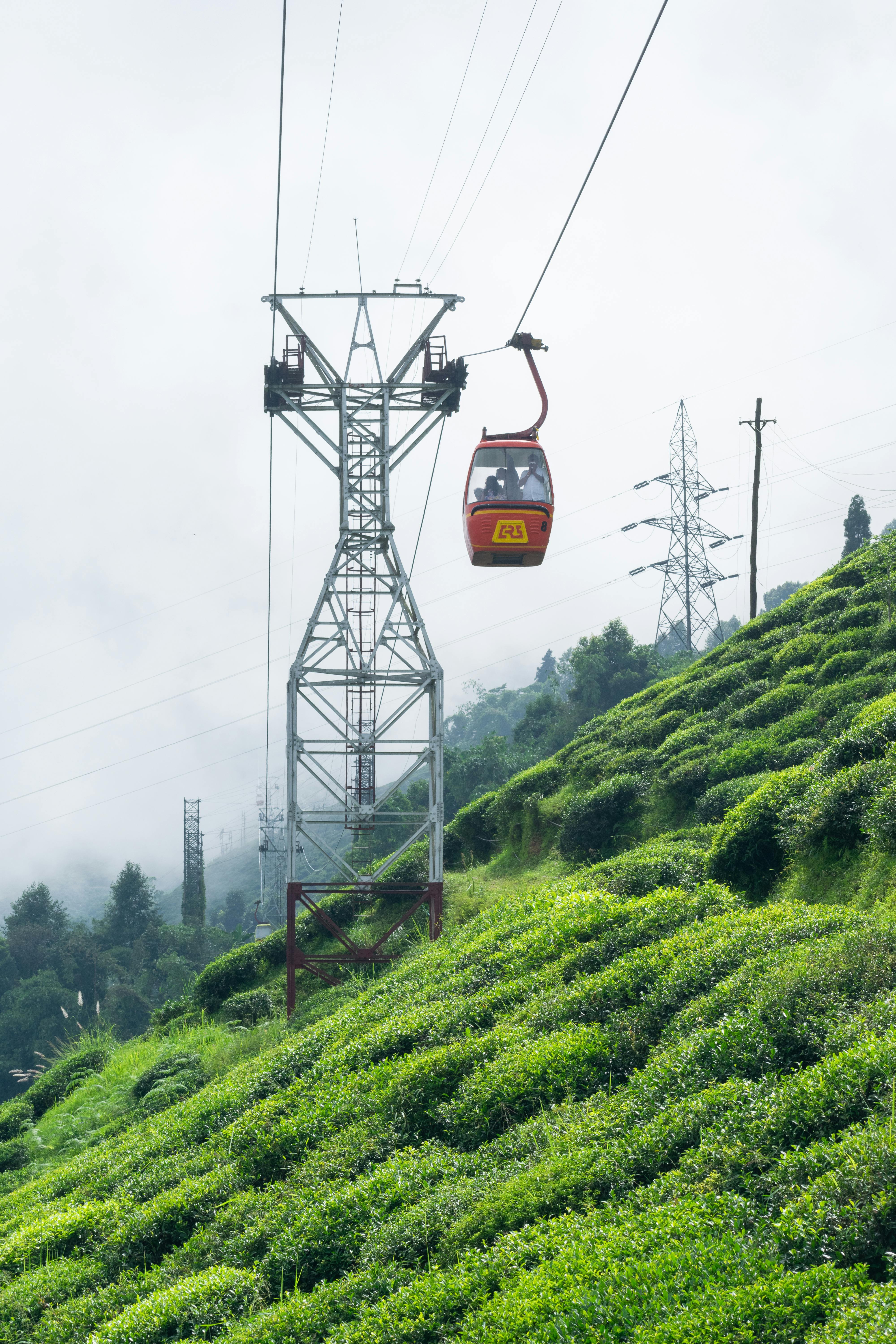 🌄 Darjeeling Tour Package
