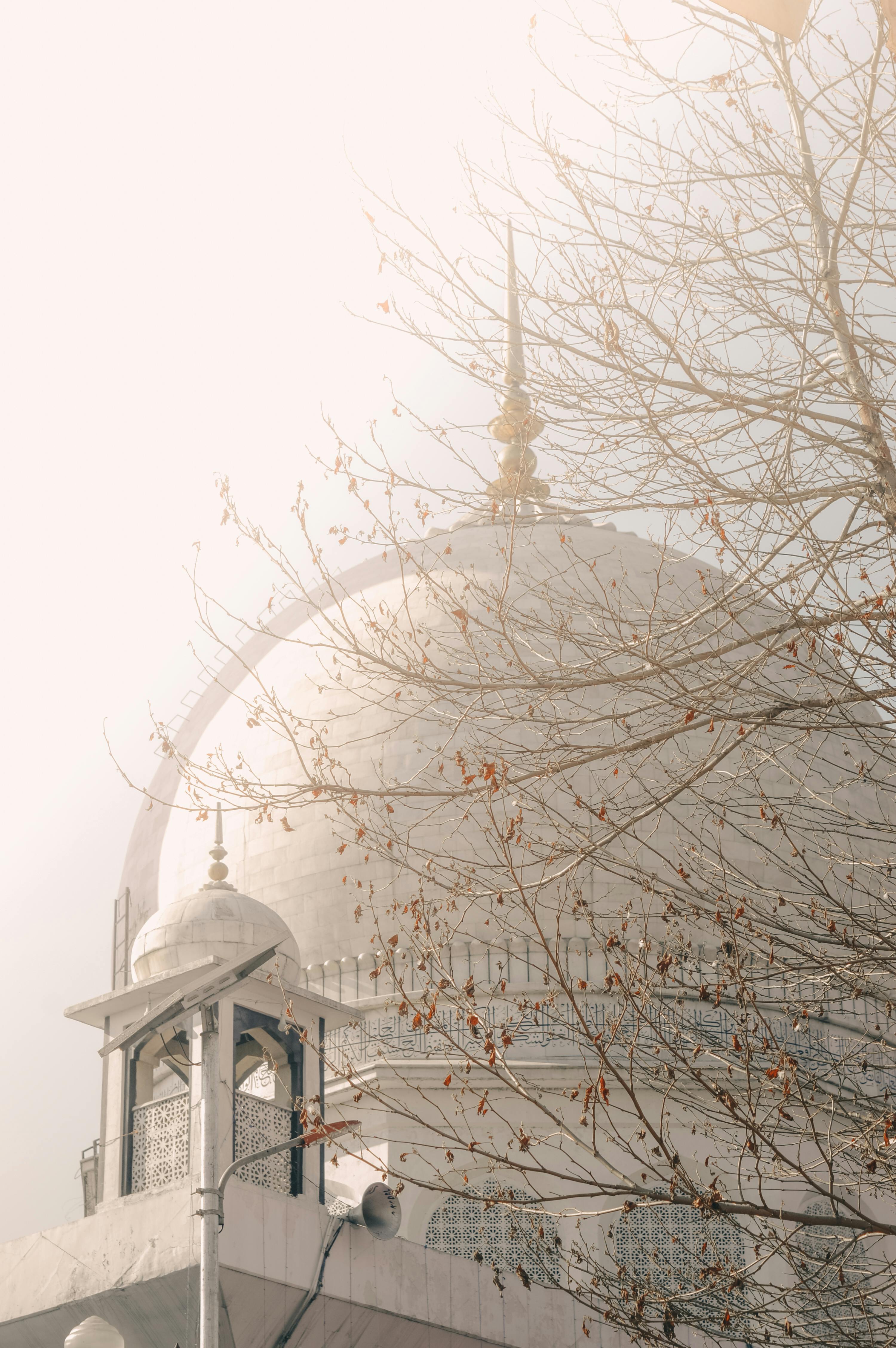 Srinagar Tour Package